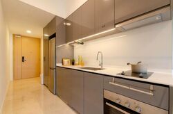 The Tre Ver (D13), Condominium #472947841